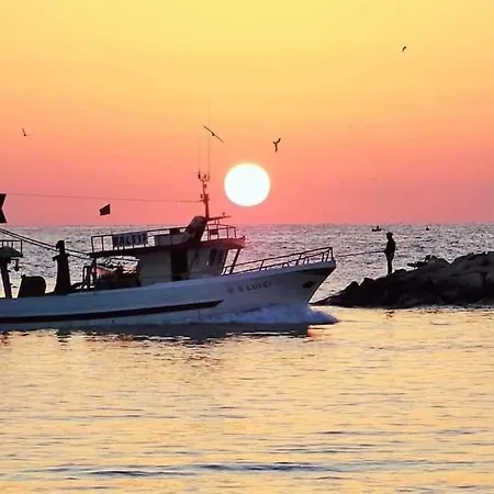 Atticocinque باري