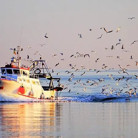 Atticocinque アパート バーリ