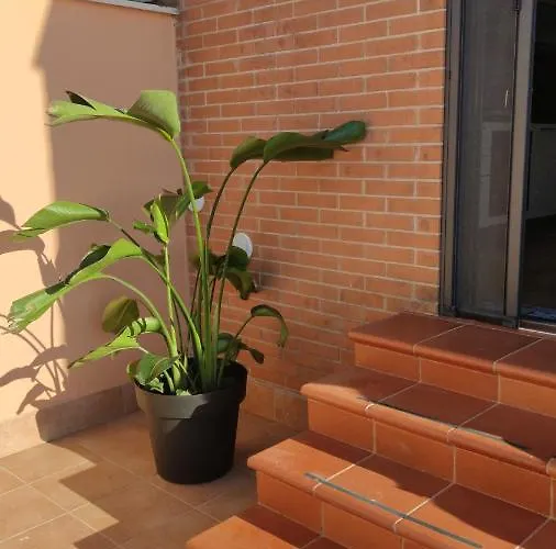 Apartment Atticocinque *